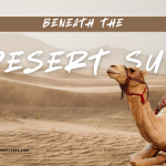 Beneath the Desert Sun
