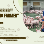 FMW Human Resources International Corporation is looking for Pig Farmer’s bound to United Kingdom