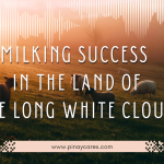 “Milking Success in the Land of the Long White Cloud”