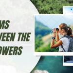 “Dreams Between the Towers”