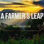 ” From Backyard to Barns: A Farmer’s Leap”