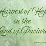 “Harvest of Hope in the Land of Pastures”