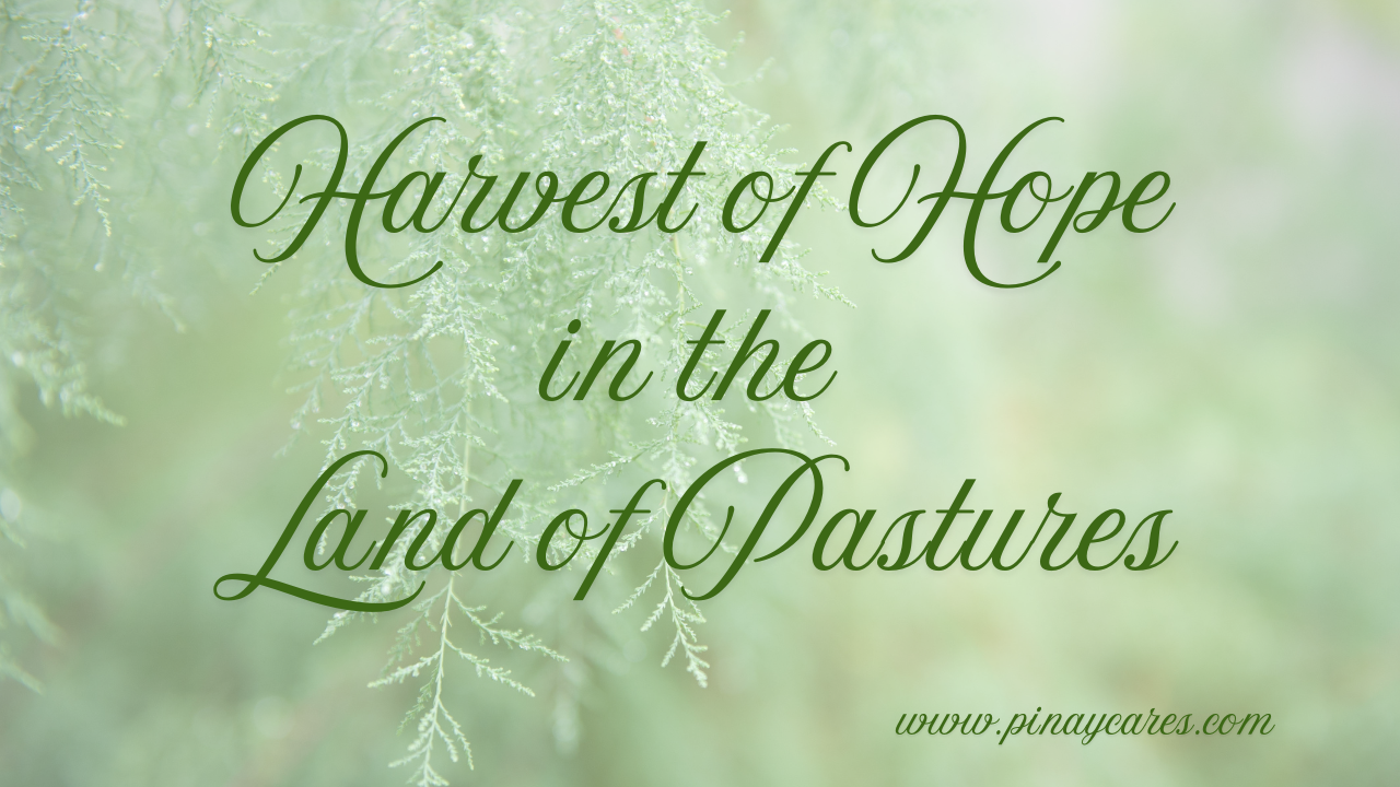 “Harvest of Hope in the Land of Pastures”