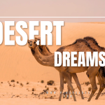 “Desert Dreams”
