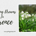 “Sweeping Dreams in Florence”