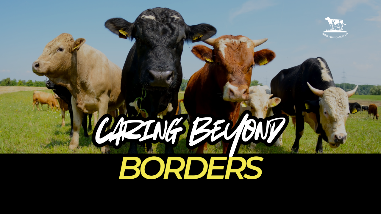 “Caring Beyond Borders”