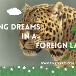 “Serving Dreams in a Foreign Land”