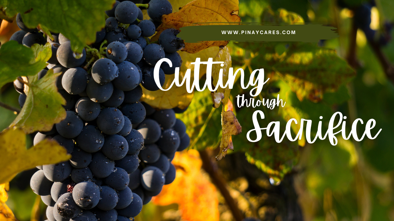 “Cutting Through Sacrifice”